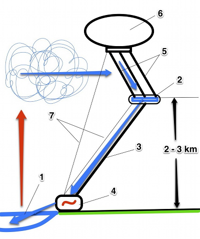 Schema